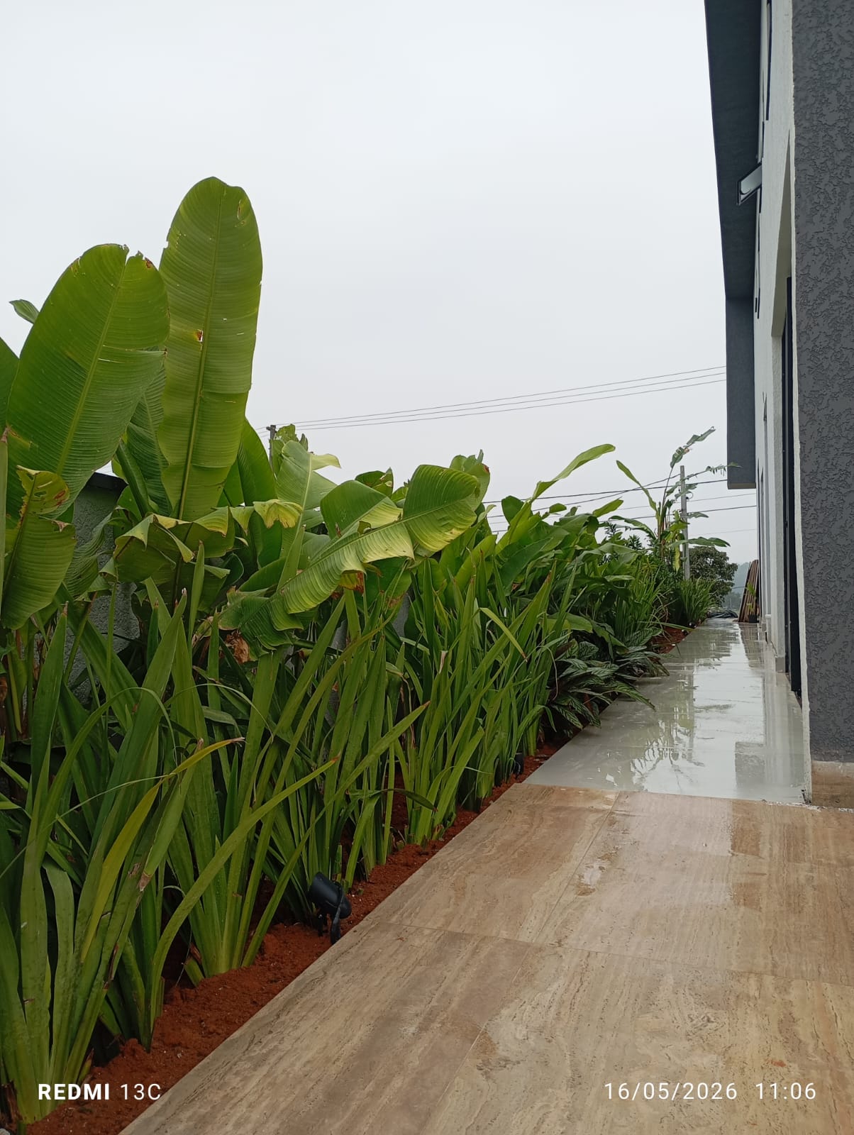 Canteiro lateral com plantas tropicais